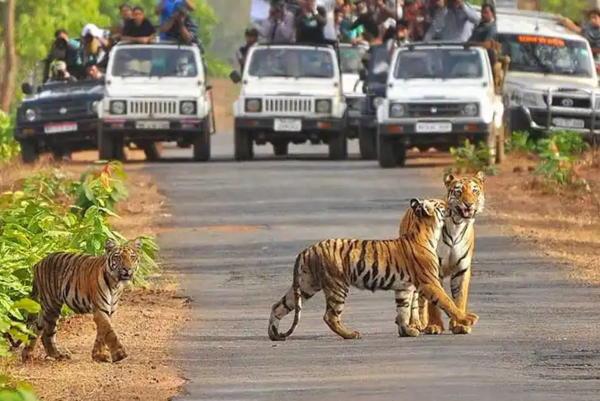 Places to Visit in Ramnagar Uttarakhand
